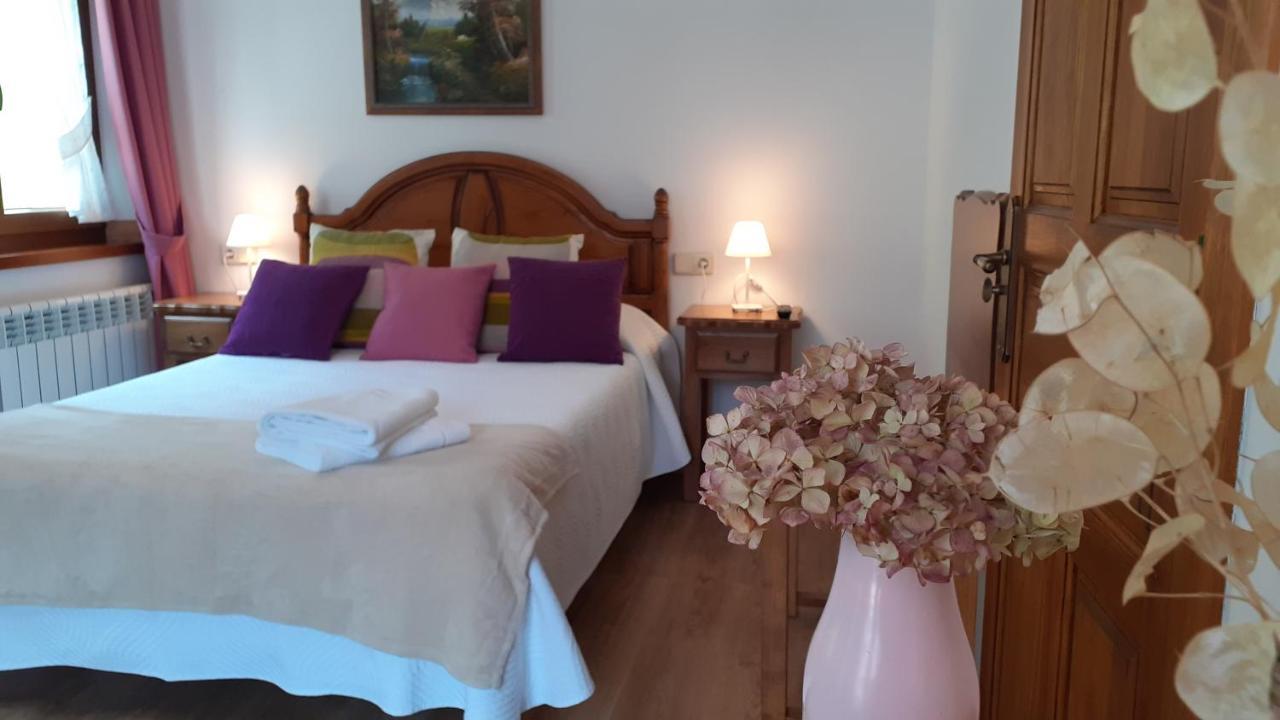 Apartamentos El Haya Cosgaya Buitenkant foto