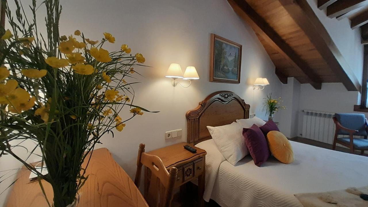 Apartamentos El Haya Cosgaya Buitenkant foto
