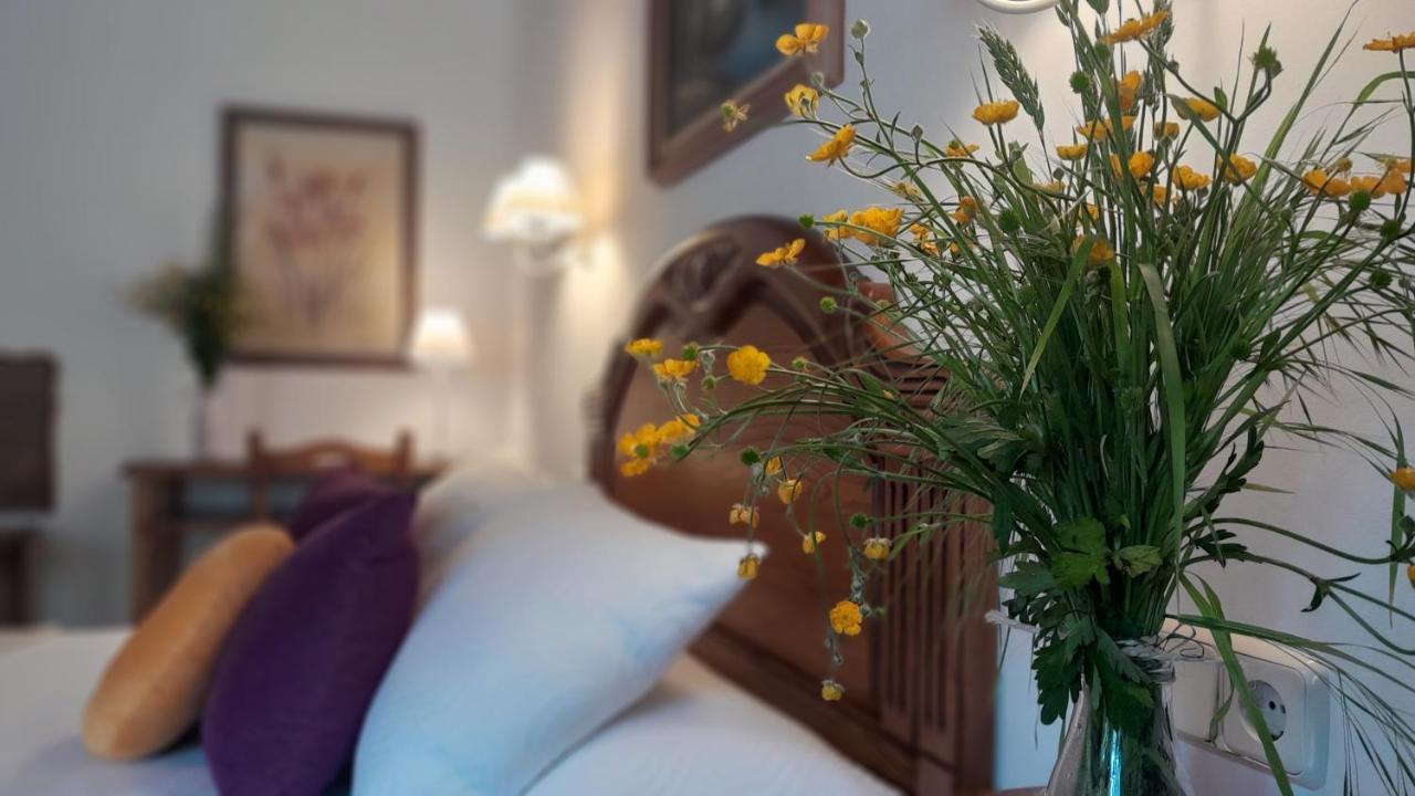 Apartamentos El Haya Cosgaya Buitenkant foto